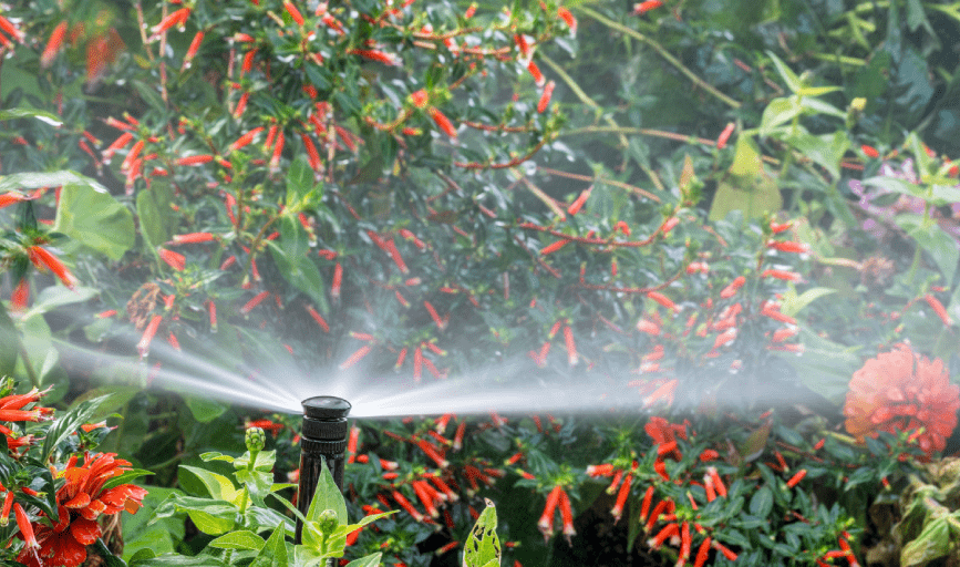 IRRIGATION REPAIR