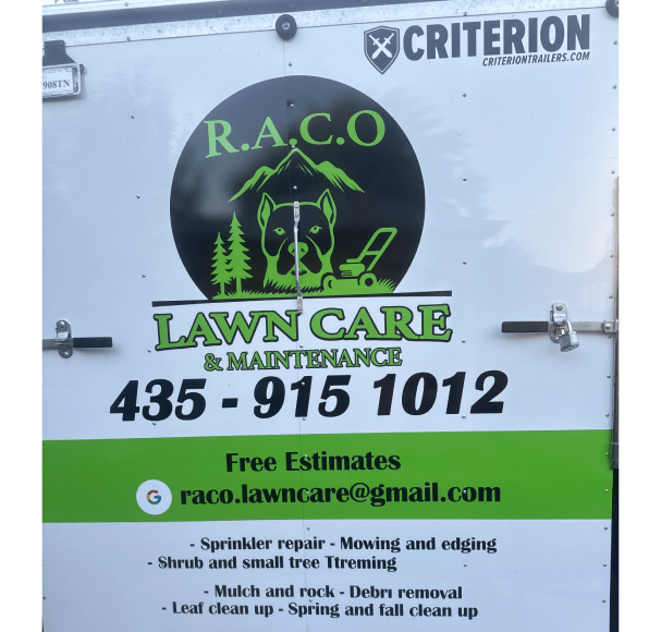 Service Image